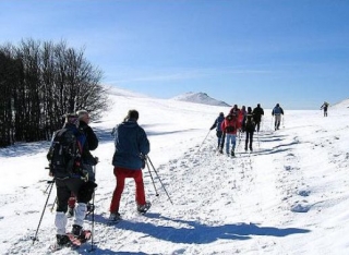 Wide open spaces on snowshoes 
